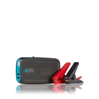RING RPPL300