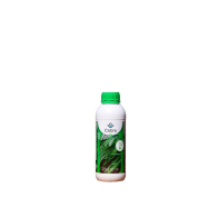 IDAI NATURE COBRE