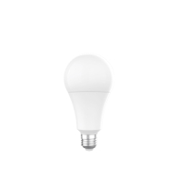 LEDEX 25W E27 6500K
