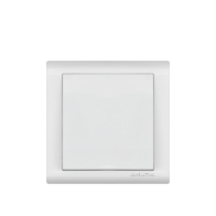 ANURA AE02101