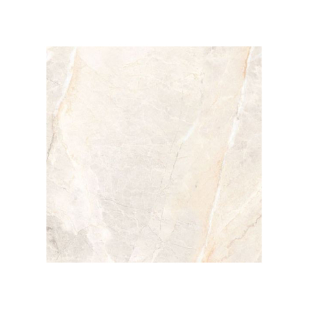 USAK ALANYA BONE