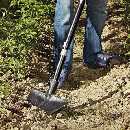 VERDEMAX 6184