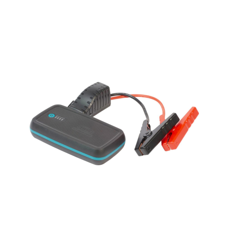 RING RPPL300