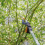 FISKARS UPX82