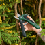 BOSCH EasyPrune