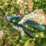 BOSCH EasyPrune
